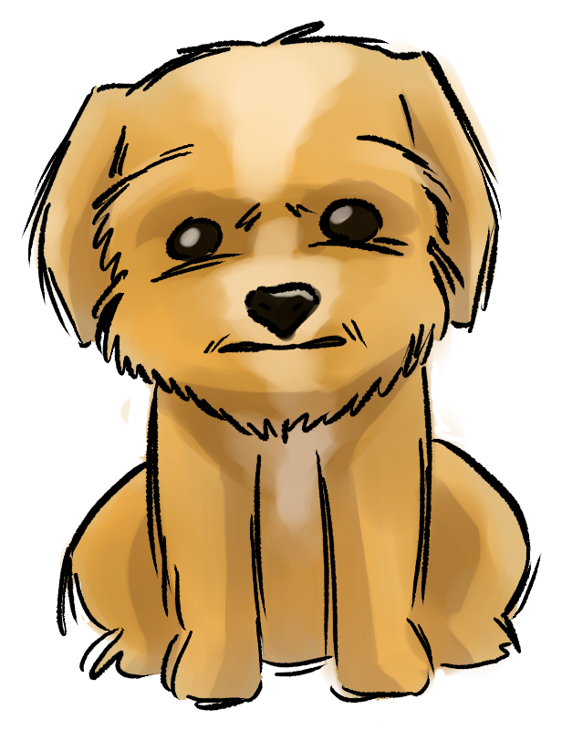 Luis the dog